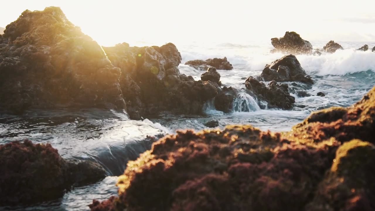 Nature's Flow: Exploring the Serene Journey of a River