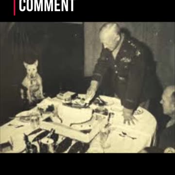 Mar 17, 2024 Gen. Patton quotation of the day #ww2 #war #leadership #georgestrait