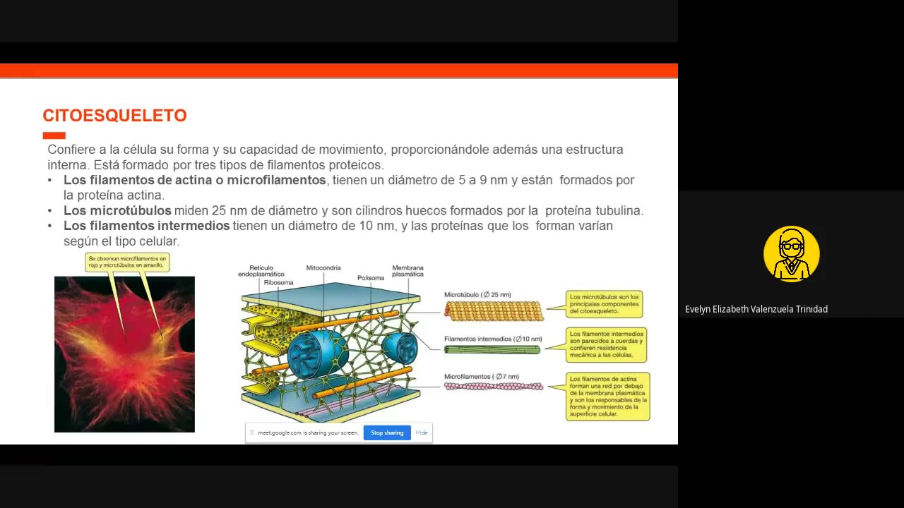 TRILCE SEMESTRAL 2021 | SEMANA 07 | BIOLOGÍA: BIOLOGÍA MOLECULAR II