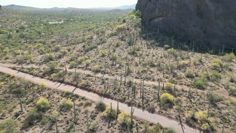 Desert Fly Over