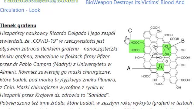 Dlaczego teraz chcą, aby ludzie jedli owady? Szokujące odkrycie "Piątej Kolumny"