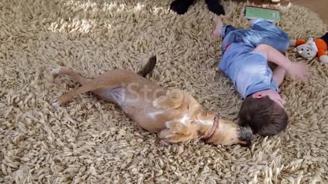 A happy little boy and his dog roll around on the floor together 2021.