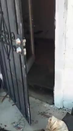 THE ABUSE CONTINUES UNDER THIS CORRUPT PROJECT