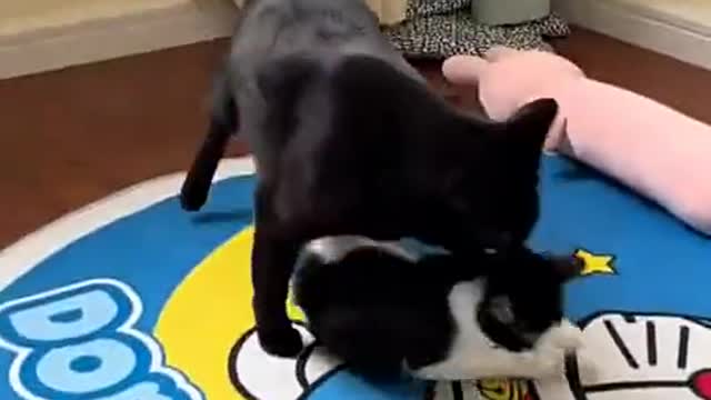 Ouch, it hurts when I hear it