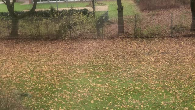 New year In Germany
