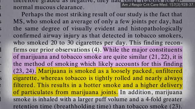 Effects of Smoking Marijuana on the Lungs
