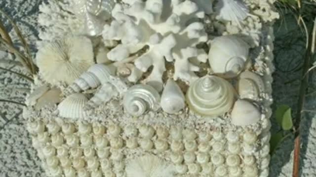 beautiful shell craft ideas / easy craft