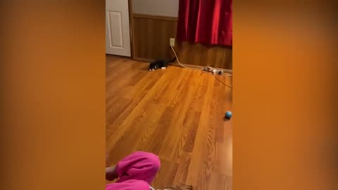 1 Hour of Funniest Cat Videos In The World - Cats & Kittens