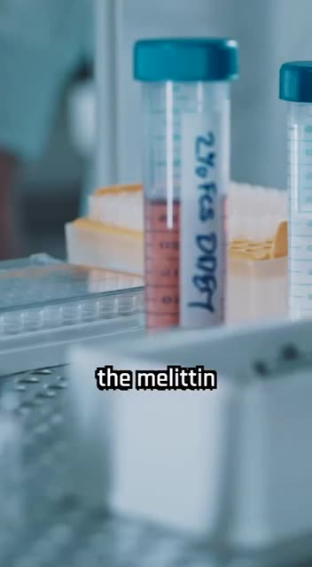 Bee Venom Kills Cancer Cells