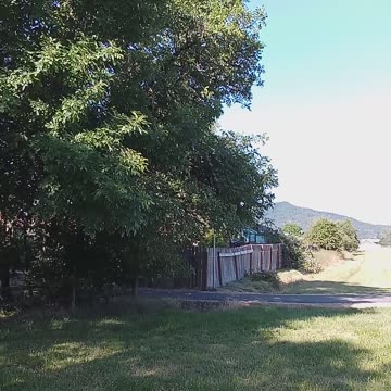 Nature Sings Fly Butterfly