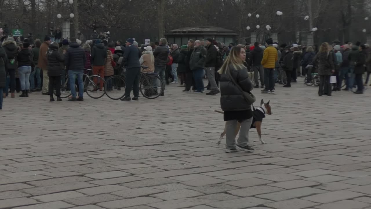 Milano, manifestazione animalisti per il gatto Leone