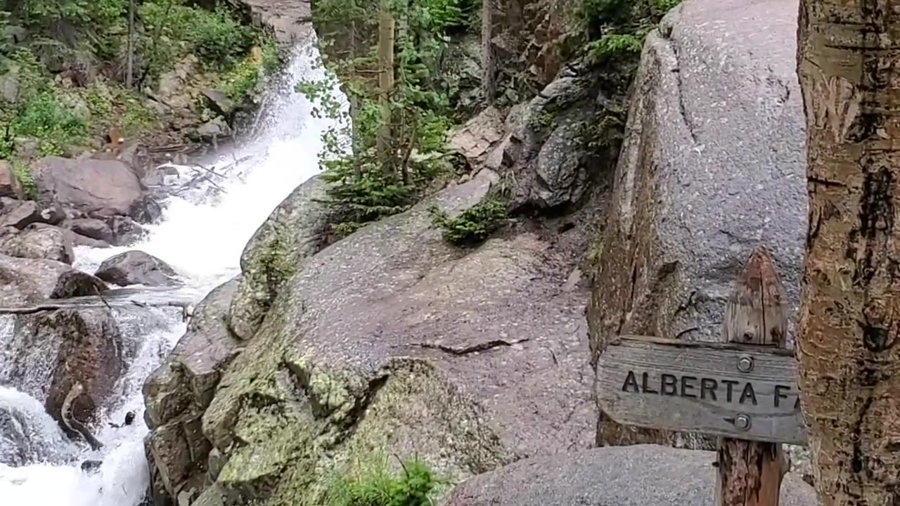 Alberta Falls | Rocky Mountain National Park