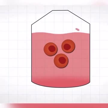 🤮3-D Printed Meat