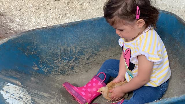 Playtime at "The Farm!"