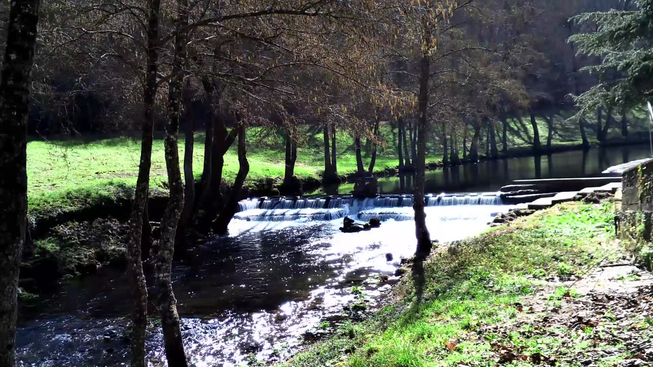 #relaxingwaterfall #naturesounds #meditation #relaxation #takeanap #stressrelief video 4K