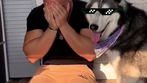 Crying In Front Of My Husky GOES WRONG!