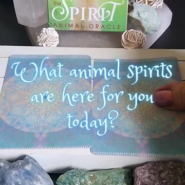 What Animal Spirit Guides are with you today?