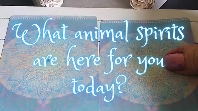 What Animal Spirit Guides are with you today?