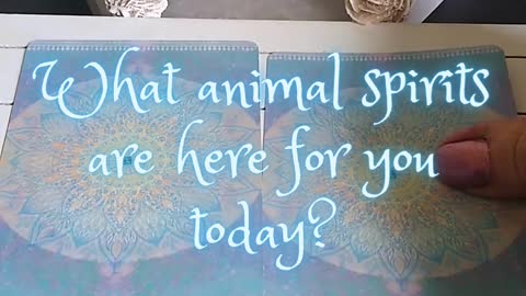 What Animal Spirit Guides are with you today?