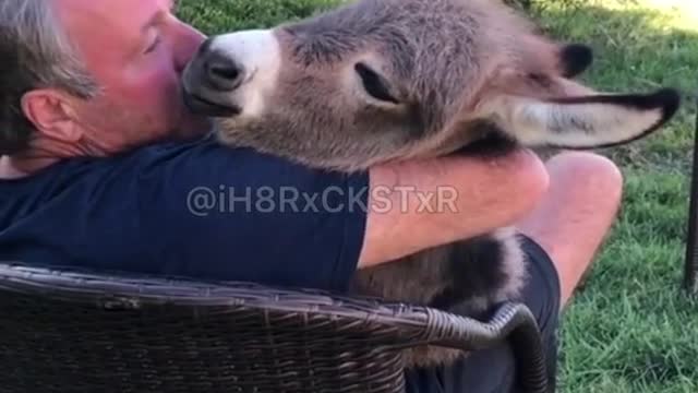 Just Because I Felt Like Singing with a Man & His Donkey ❤️😂 Credit