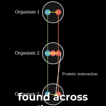 ID: Our Fight for Truth