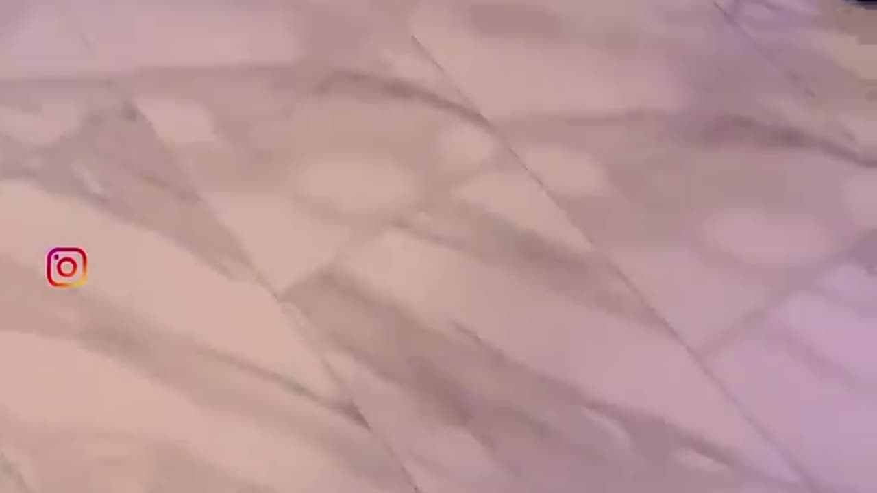 Girl Funny