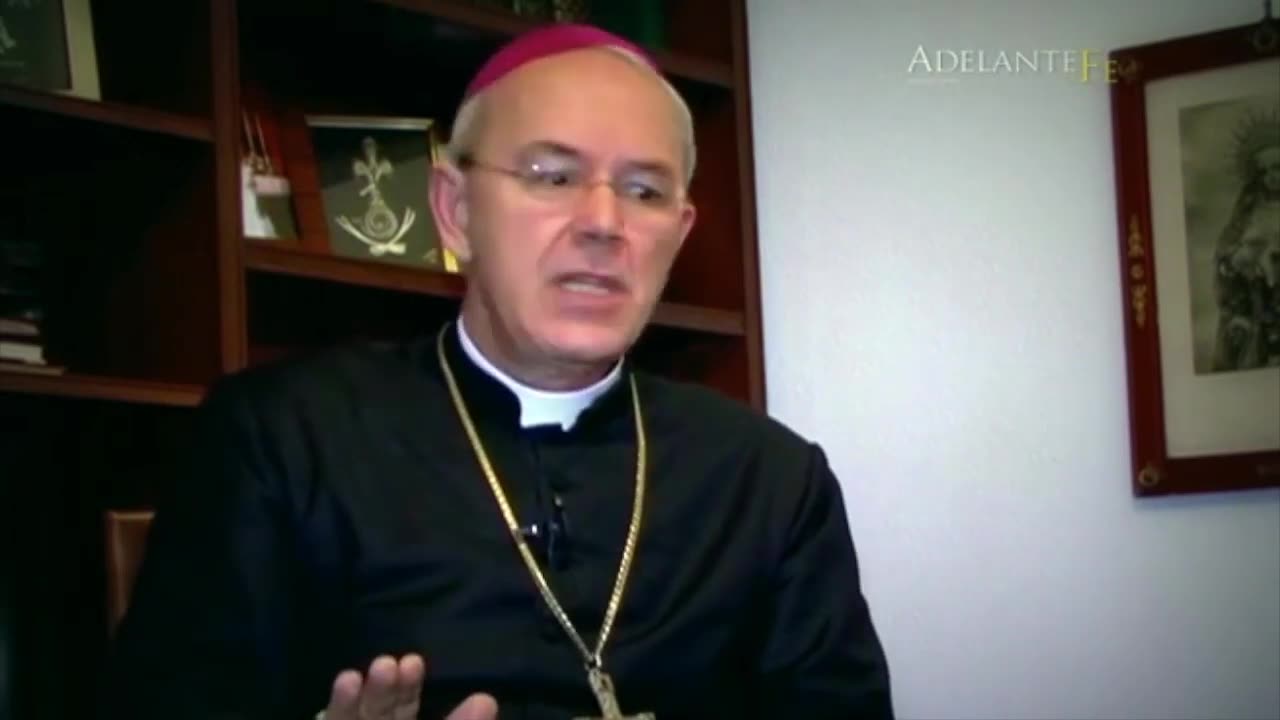 Is there a schism in the Church? ~ Dom Athanasius Schneider responds #6