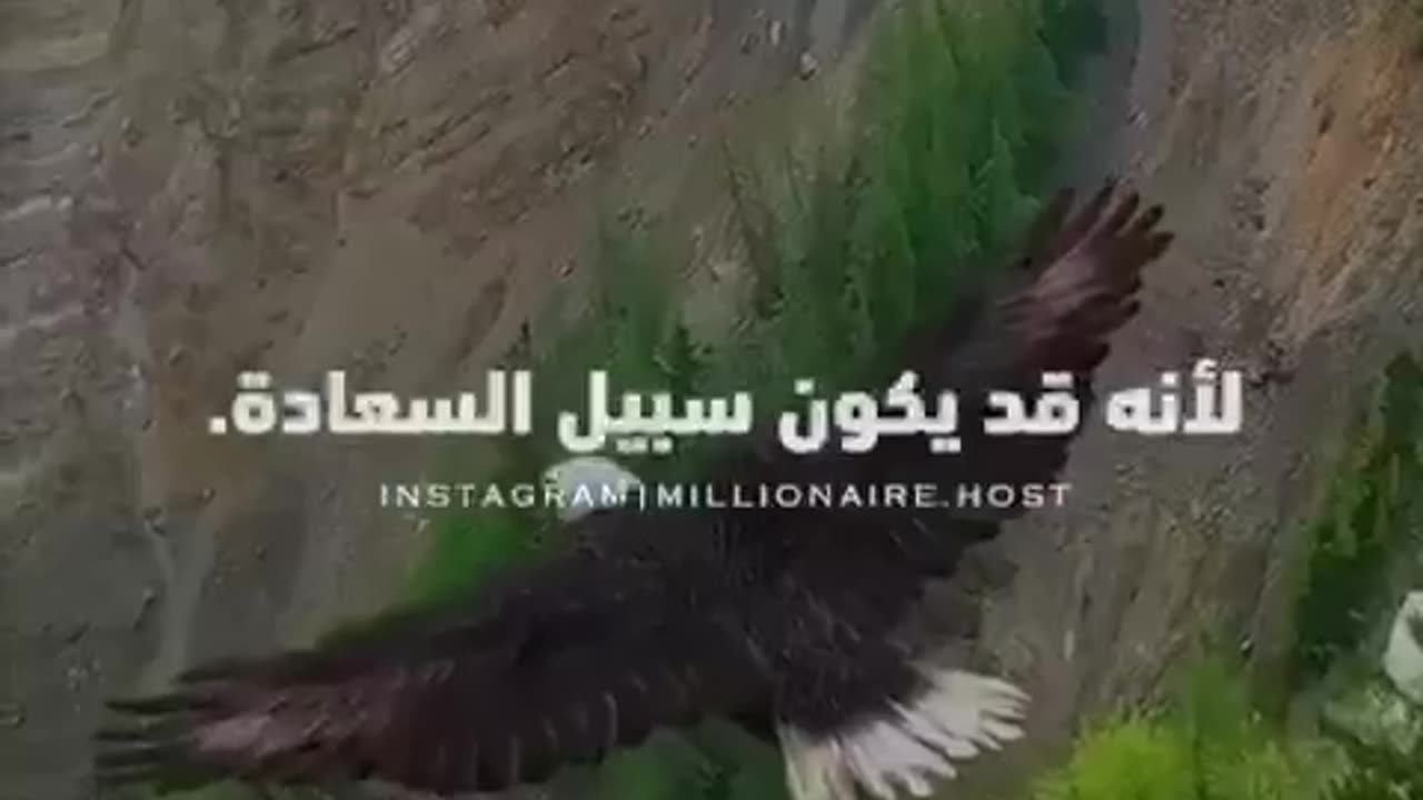 النسر