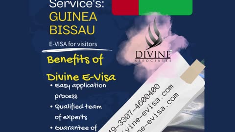 Divine Associates Ltd Expert E-Visa Services