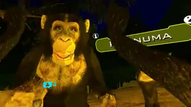 O DIA que a BANANA comeu o MACACO no Vrchat