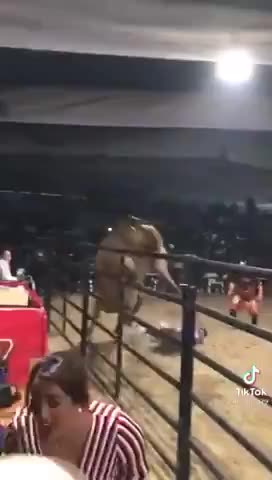 Its Time To Leave The Bulls Alone, Don't You Think So?