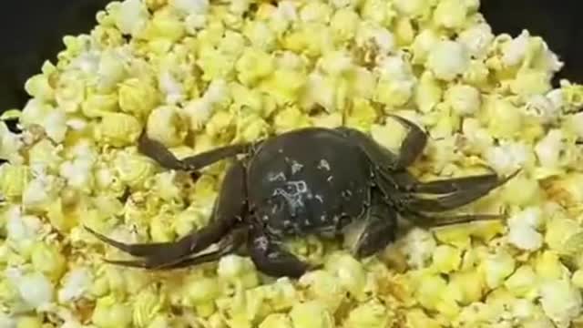 OMG weird food😱🤪🤪