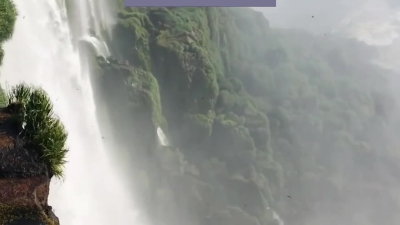 From Above, the Fountain Shines: An Aerial View of Beauty🤩 #shorts #shortfeed #moralstory #nature