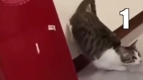 He ZOOOMED credit to KLR Productions on YT and Tik Tok