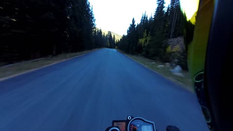 Motorcyclist Hits Moose and Survives