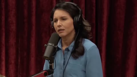 Joe Rogan and Tulsi Gabbard-Discuss Kamela Harris