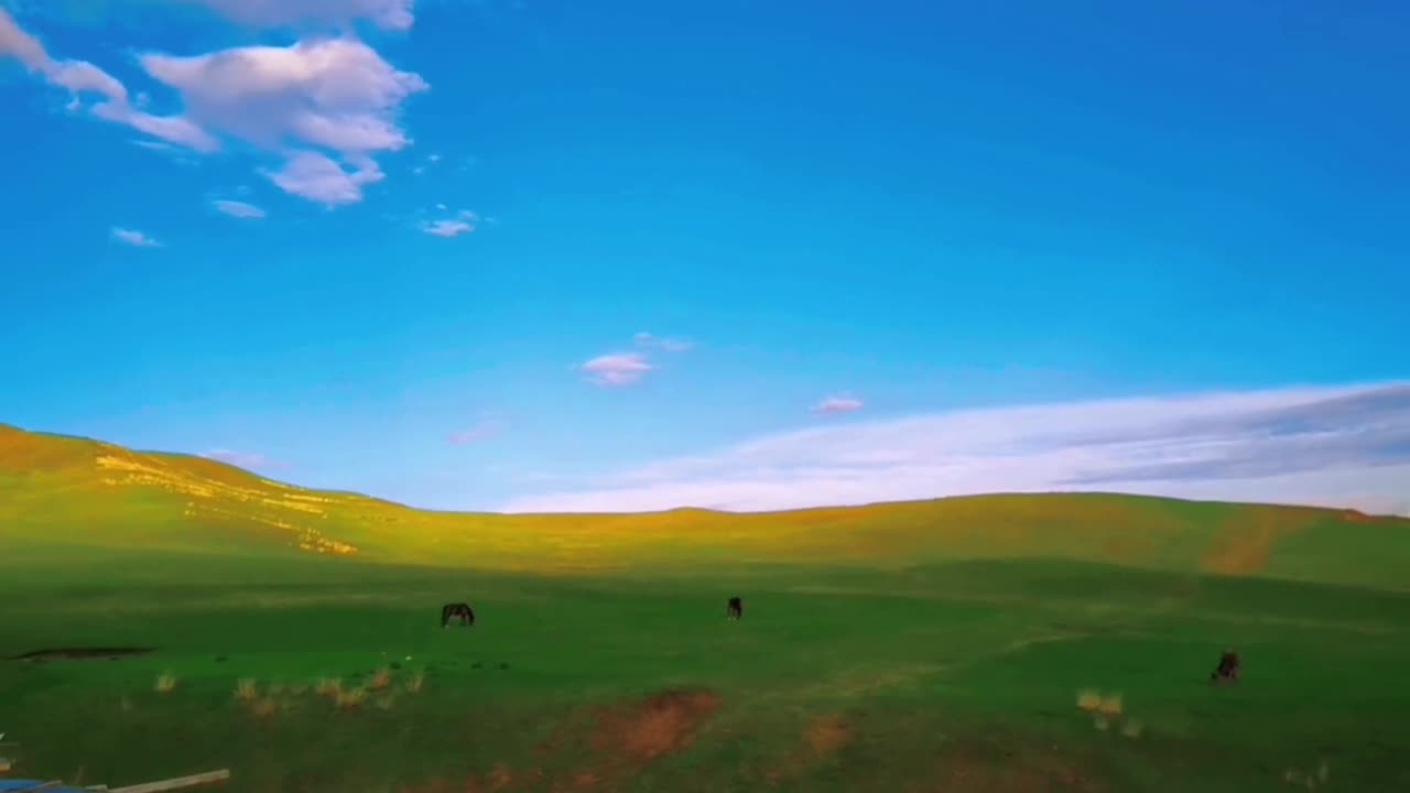 Beautiful grassland is my home, I would like to take the person I love to go there