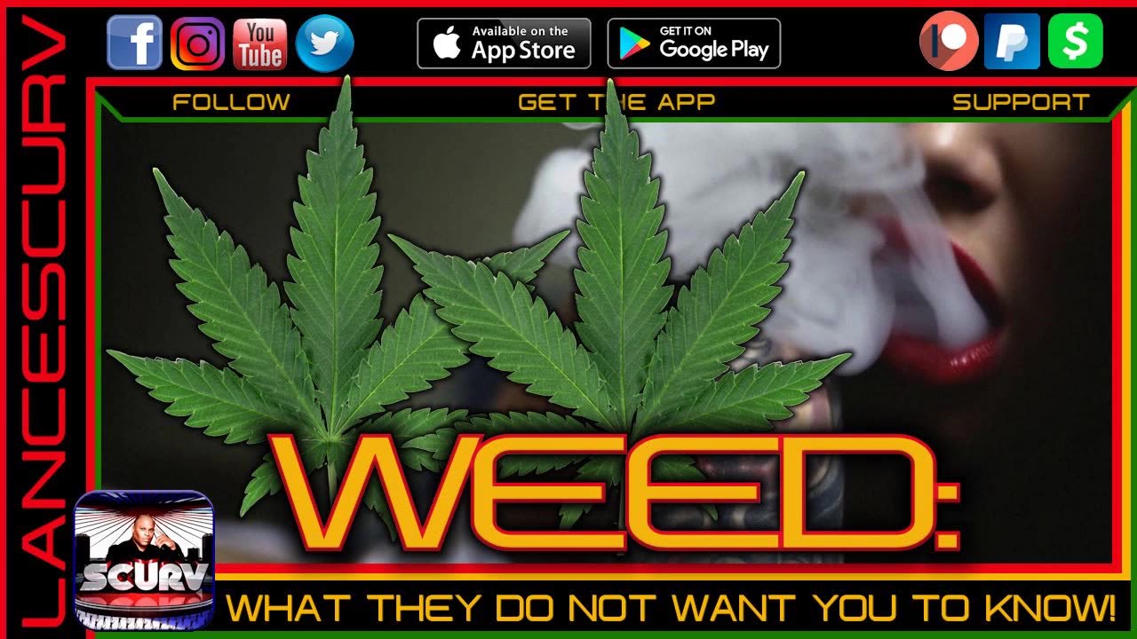 WEED: WHAT THEY DO NOT WANT YOU TO KNOW! | JAH MAN (RIP) | LANCESCURV