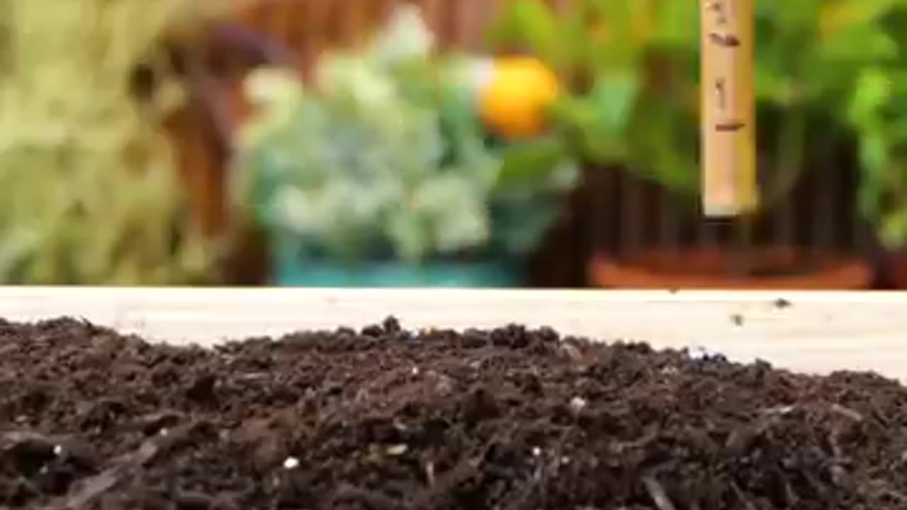 Fantastic Planting And Grafting Hacks To Grow Any Tree Faster 🌳