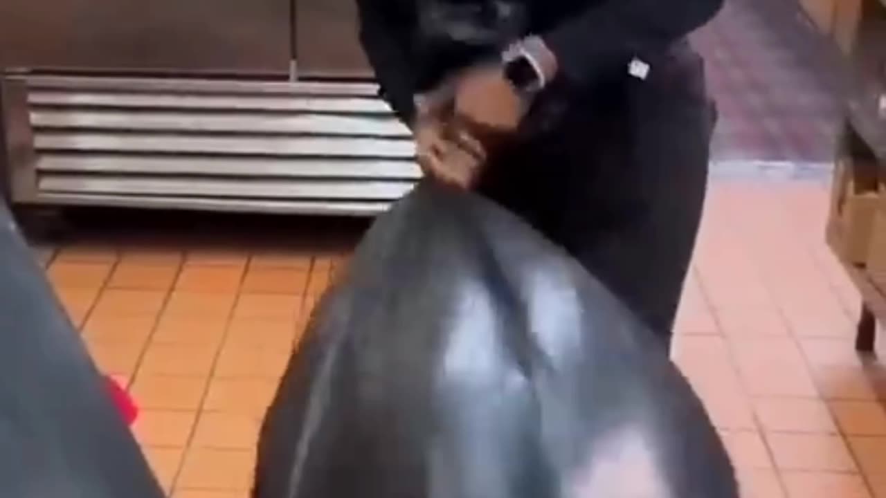 Funny video