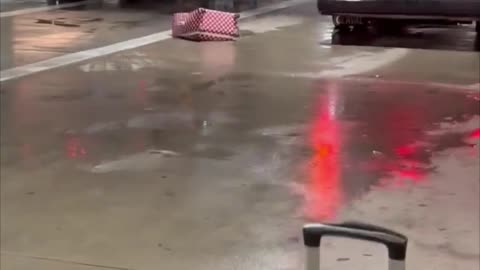 bus driver prank