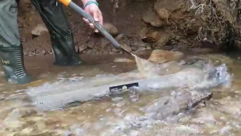 FINDING GOLD
