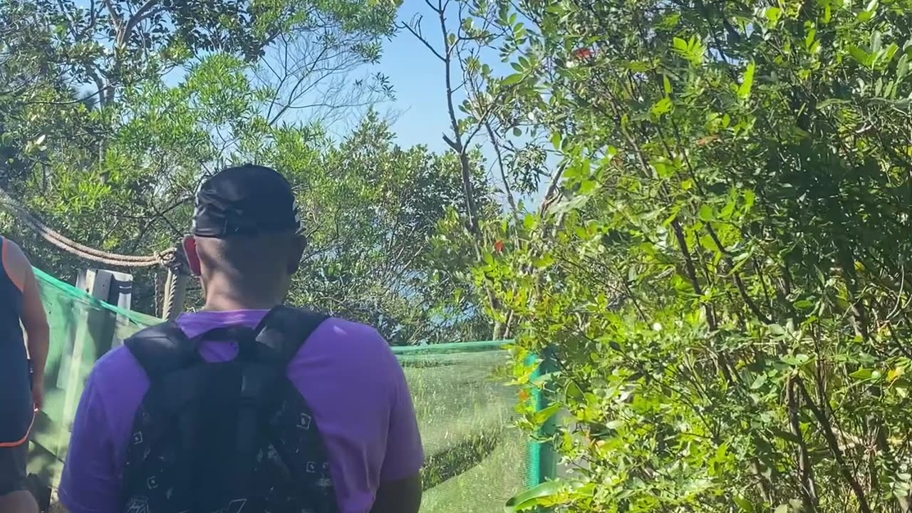 14/19 - Explorando a Trilha do Morro do Macaco em Bombinhas: Uma Experiência Imersiva! #bombinhas