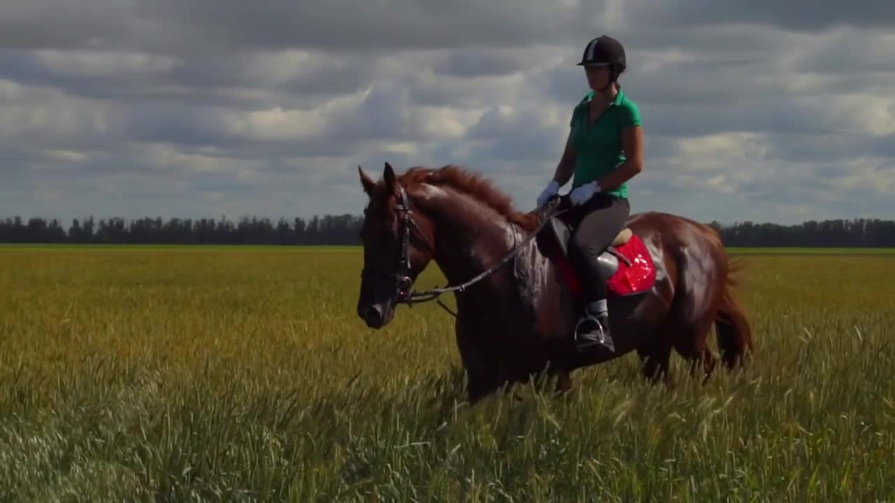 Young woman rider riding a horse on the field