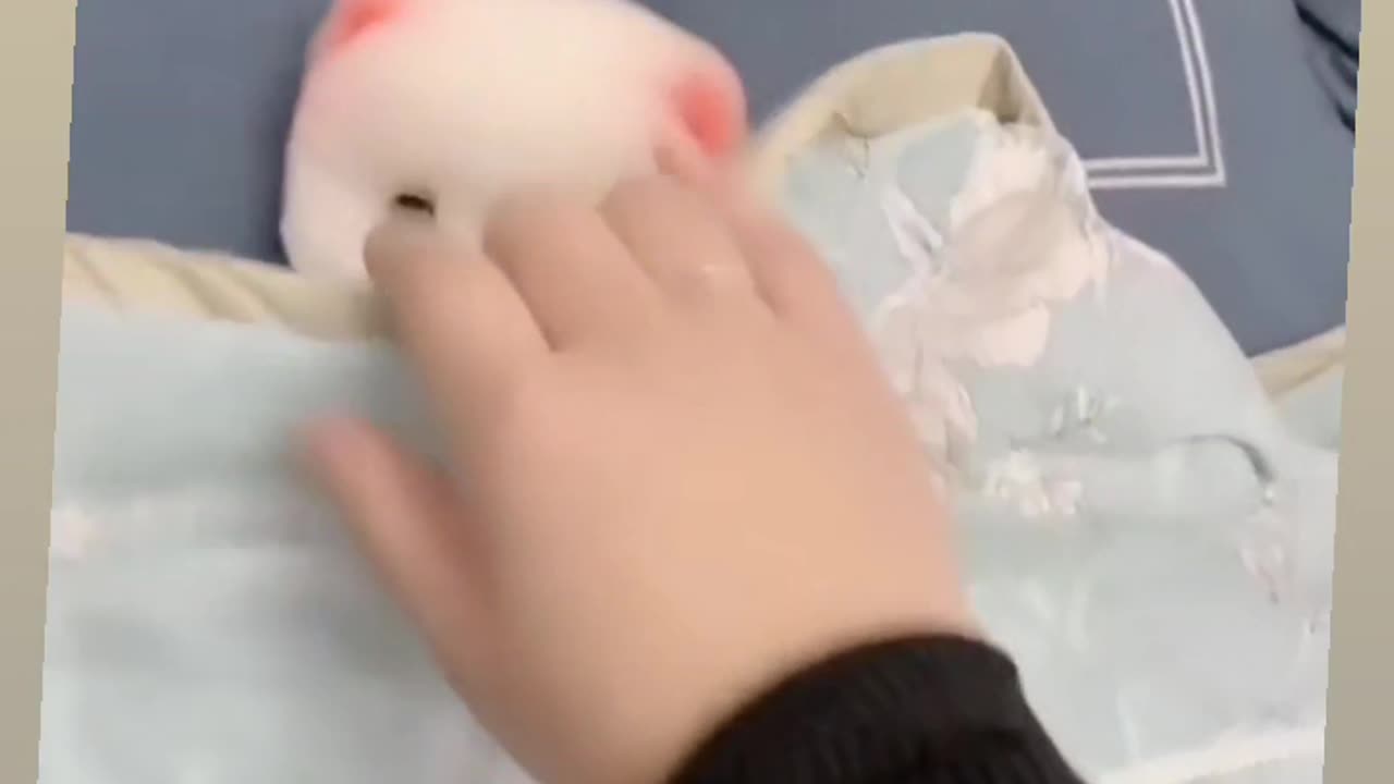 Gods are so quiet 🥰😻🐕