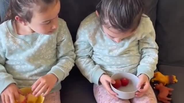 Giving twins two different desserts to see if they share!