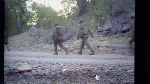 Drugs through the open border