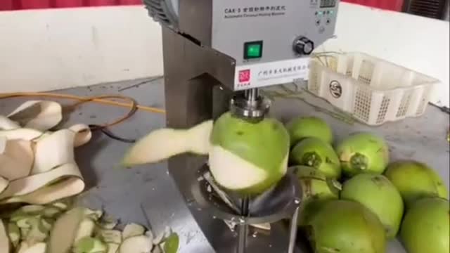 Tender Coconut Cutting Machine / China Invention