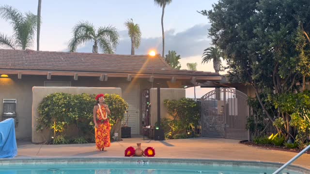 Motu Show 221103 IslandPalms