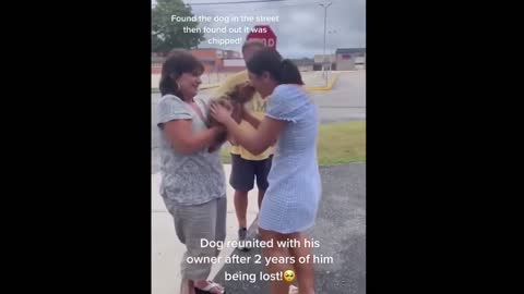 Long Lost Animals REUNITED with Owners - SO SWEET